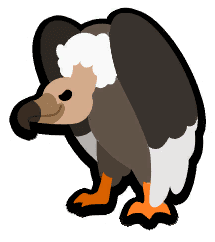 Vulture