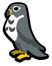 Falcon