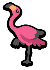 Flamingo