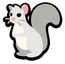 Albino Squirrel