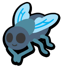 Fly