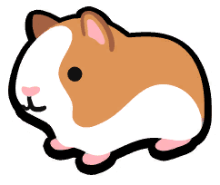 Guinea Pig