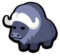Musk Ox