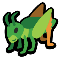 Locust