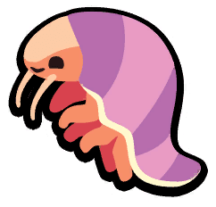 Giant Isopod