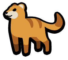 Mongoose