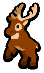 Reindeer