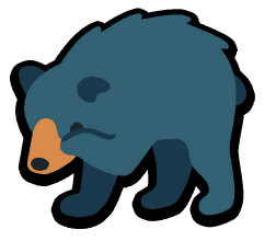Black Bear