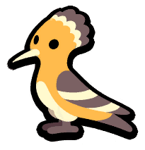 Hoopoe Bird