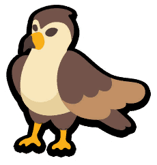Hawk