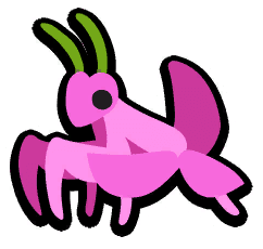 Orchid Mantis