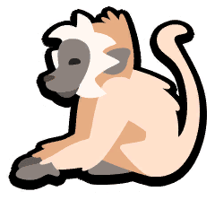 Vervet