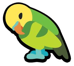 Budgie