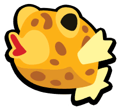 Yellow Boxfish