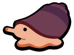 Cone Snail