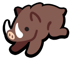 Boar