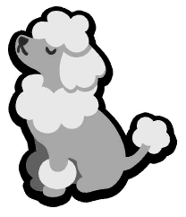 Poodle