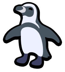 African Penguin