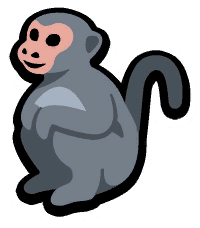 Macaque