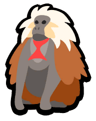 Gelada