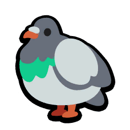 Pigeon