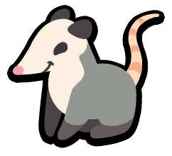 Opossum