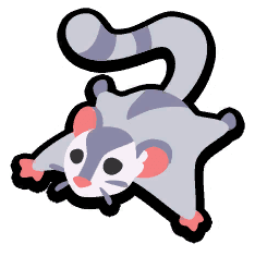 Sugar Glider