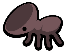 Door Head Ant
