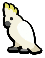 Cockatoo