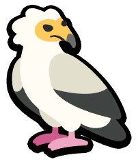 Egyptian Vulture