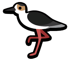 Black Necked Stilt