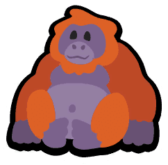 Orangutan