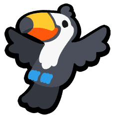 Toucan